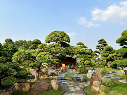 tiểu cảnh sân vườn